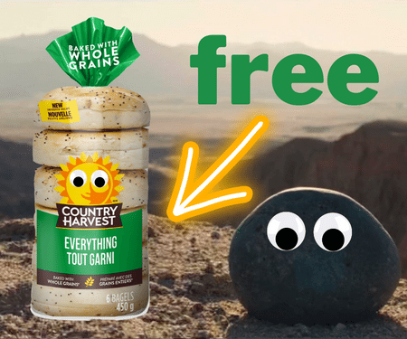 Free Country Harvest Everything Bagels