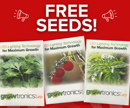 Get in on a Free Seed Giveaway This Spring