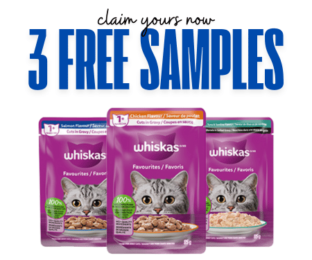 How to Get 3 Free Whiskas Pouches for Your Cat